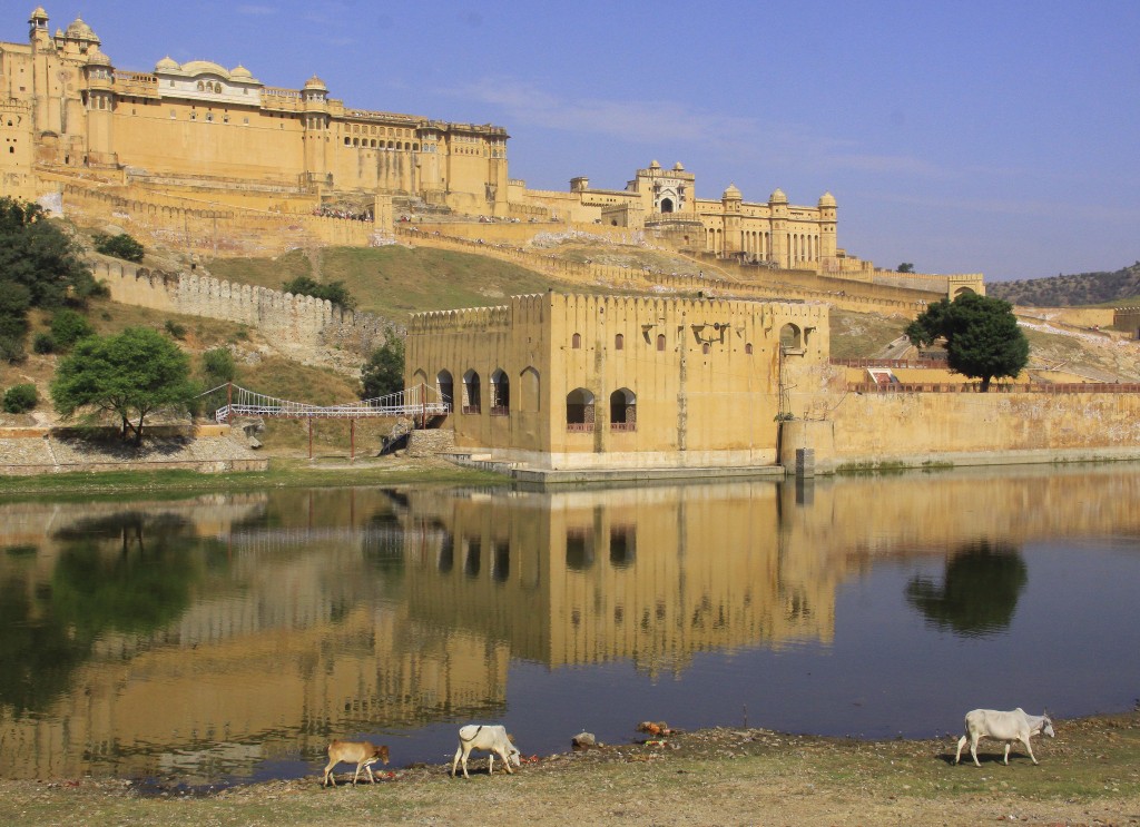 2011 Indien Jaipur (191) Amber