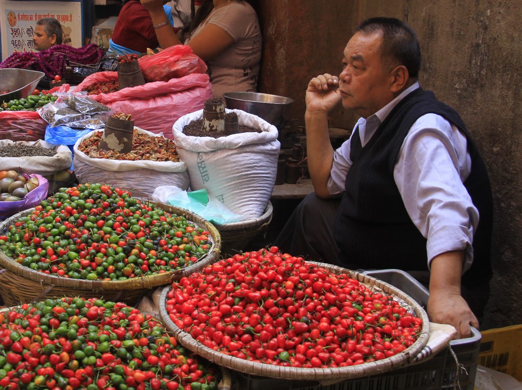 2011 Nepal (104c) Kathmandu (29)