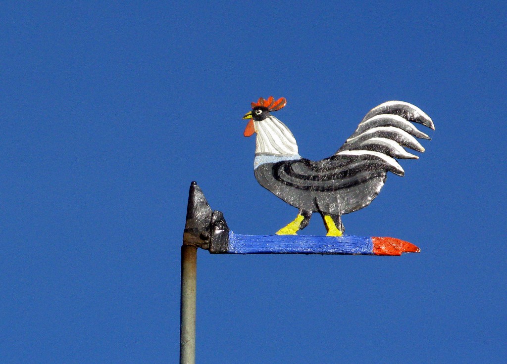 Fiskerihavnen Kbhvn 2008d