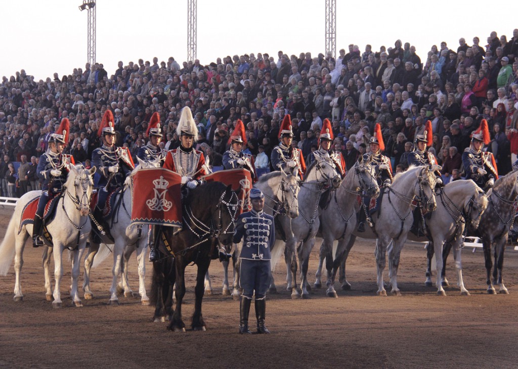 Gardehusar regimentets Hesteskadron (7)