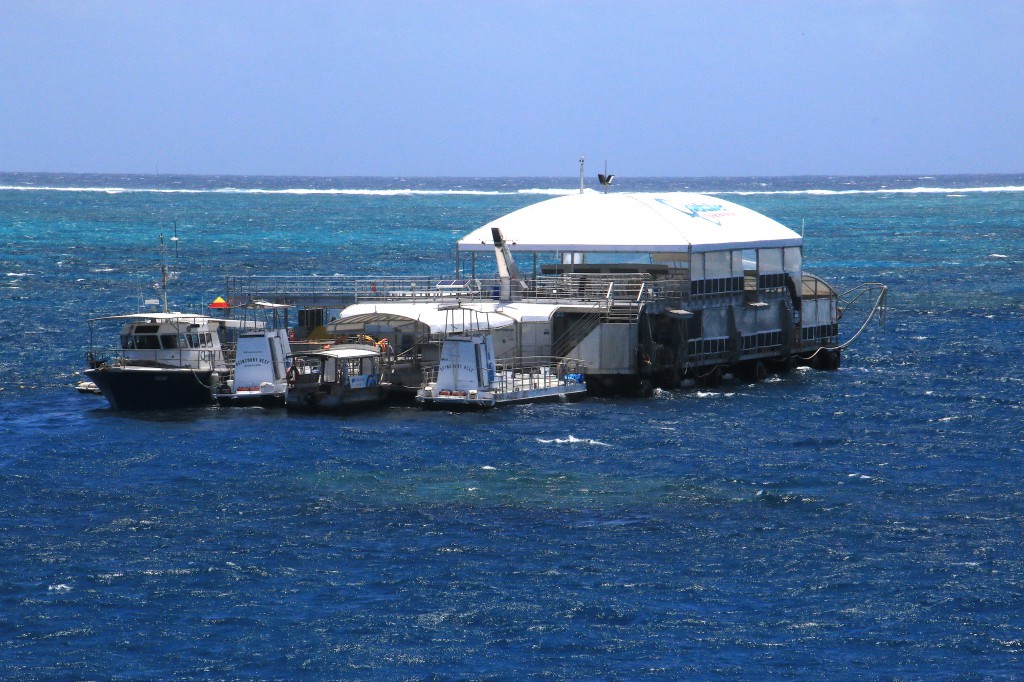 Great Barrier Reef (1)