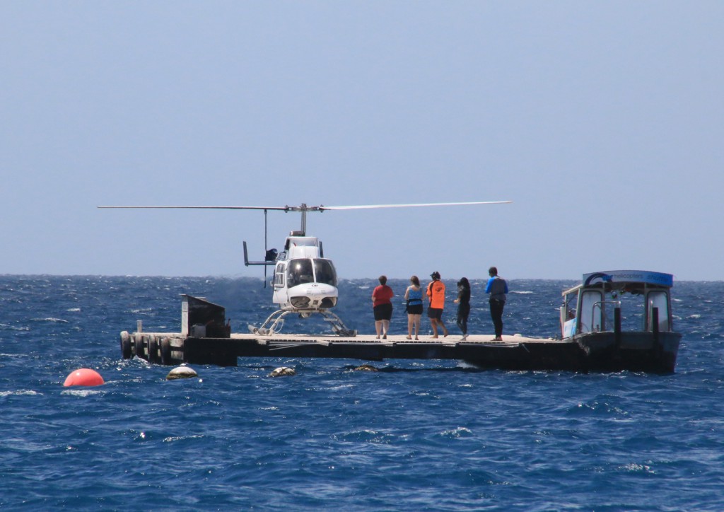 Great Barrier Reef (10)