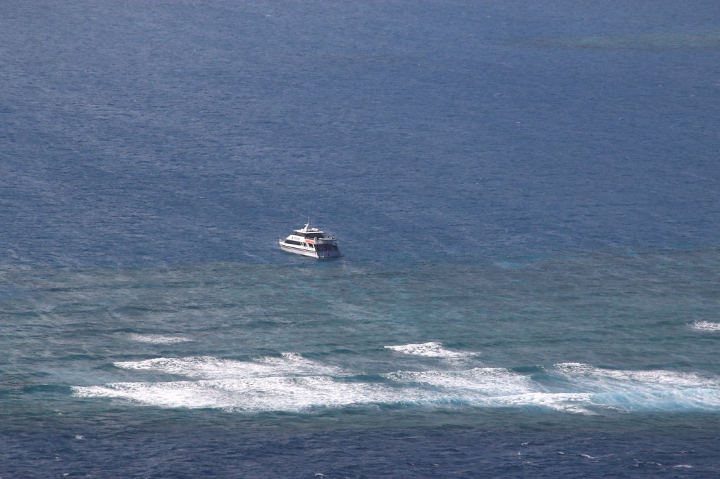 Great Barrier Reef (11)