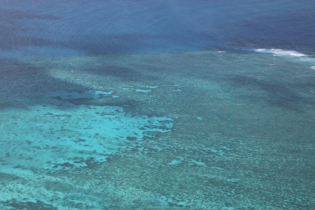 Great Barrier Reef (15)