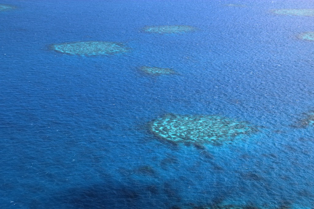 Great Barrier Reef (17)