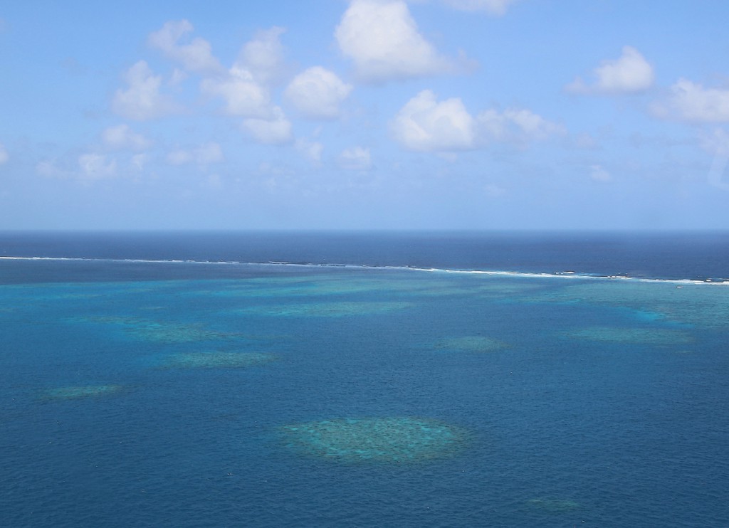 Great Barrier Reef (18)