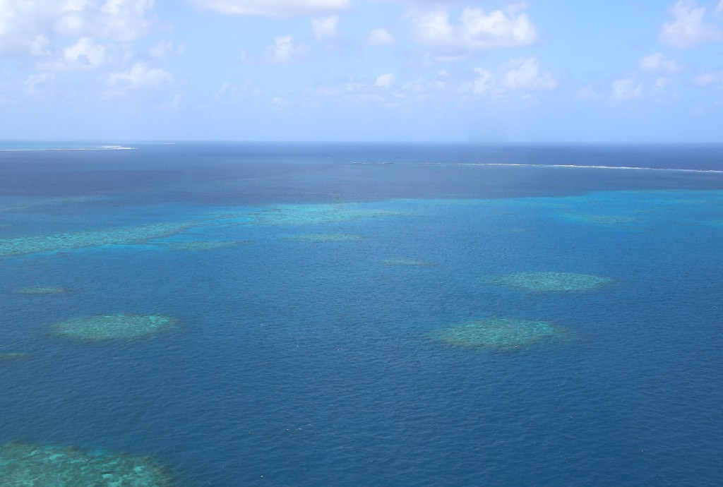 Great Barrier Reef (19)