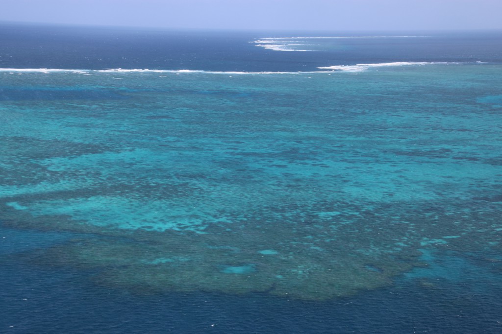 Great Barrier Reef (20)