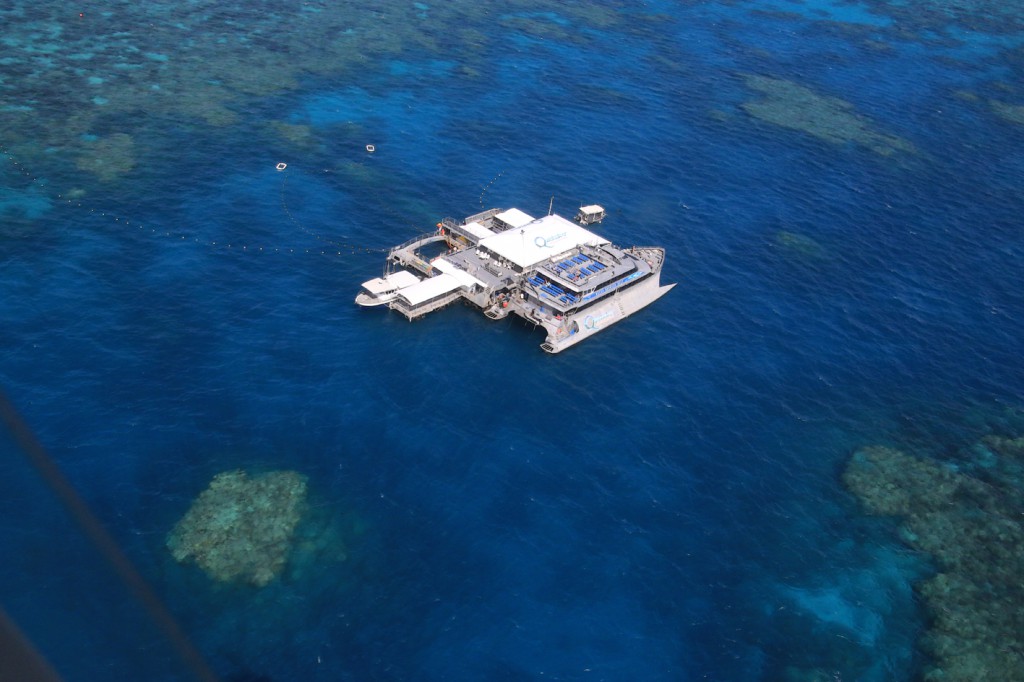 Great Barrier Reef (23)