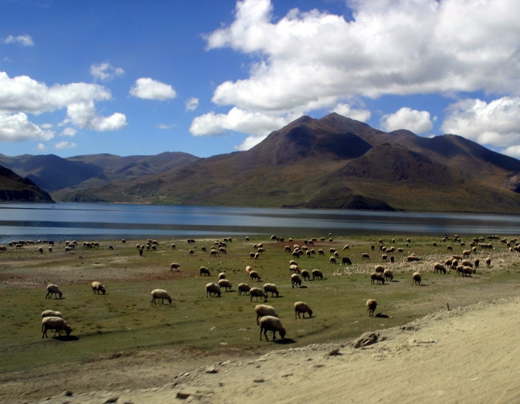 Tibet (13)