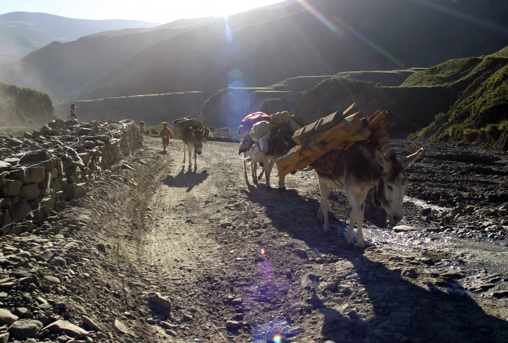 Tibet (4)